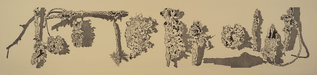 A series of drawings of leaves and trees.