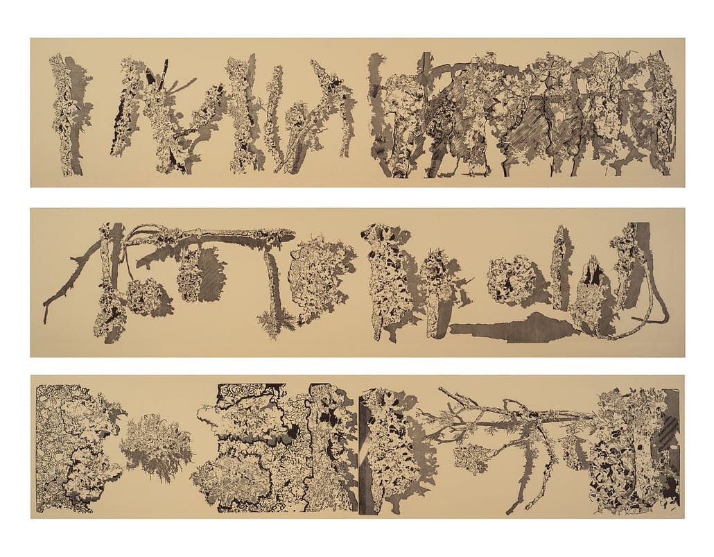 A set of three drawings of trees and bushes.