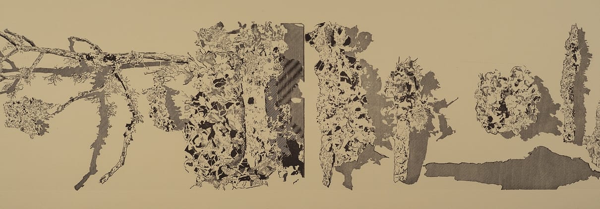 A black and white image of some sort of animal print.