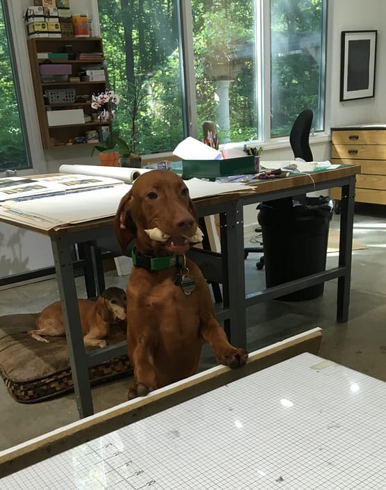 A dog sitting at the table in front of a window.