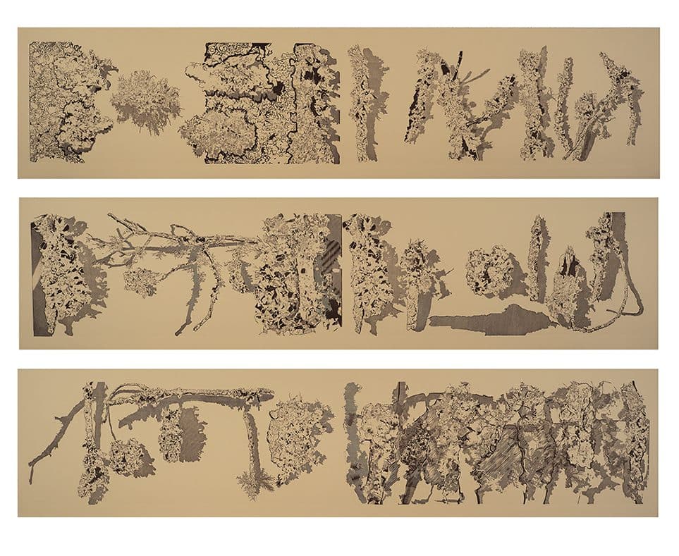 A series of three drawings of trees and bushes.